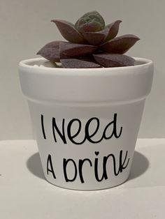 a potted plant with the words i need a drink written on it and a succulent