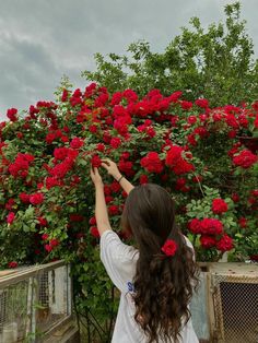 a woman standing in front of a bush full of red flowers