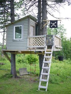 a tree house built into the side of a tree with a ladder leading up to it