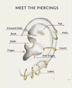 an ear diagram with the parts labeled in it and text below that says, meet the piercings