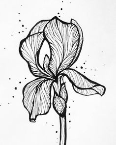 a black and white drawing of a flower