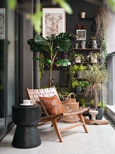 a chair and some plants in a room