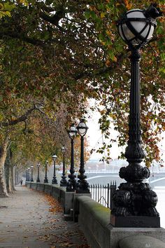 a street light sitting on the side of a road next to a tree filled sidewalk