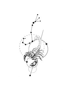 a black and white drawing of a scorpion