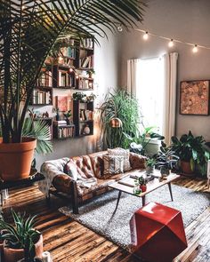 a living room filled with lots of plants next to a couch and coffee table on top of a hard wood floor