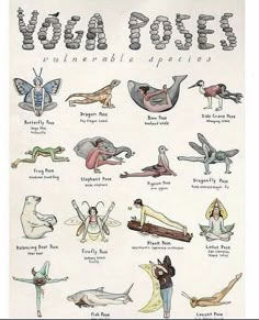 an old poster with many different types of animals