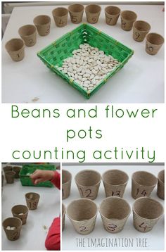 an image of bean and flower pots counting activity