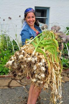 a woman holding a bunch of garlic in front of a white brick building and garden