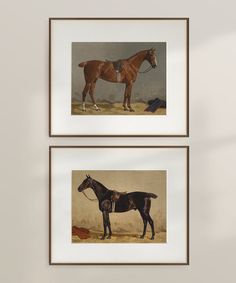 two framed pictures of horses on display in a white walled room, one is brown and the other is black