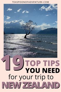 a tree on the beach with text overlaying it that reads 19 top tips for your trip to new zealand