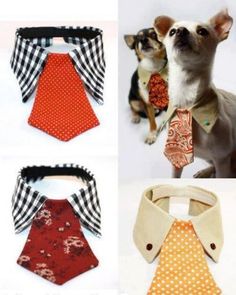 there are many different types of ties on this page, including one with a dog in it