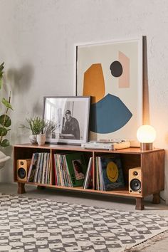 an entertainment center with books, speakers and pictures on the wall next to a potted plant