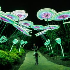 a person standing on a path surrounded by trees with lights in the shape of umbrellas