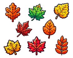 a bunch of different colored leaves on a white background