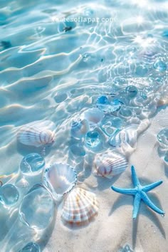 starfish and seashells on the beach in clear blue water, with bubbles