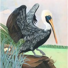 a painting of a pelican sitting on a rock with its wings spread out