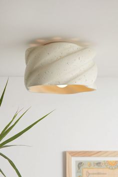 a white lamp hanging from the ceiling next to a potted plant and framed photograph