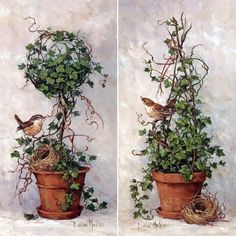 two paintings of birds sitting on top of a potted plant with ivy growing around it