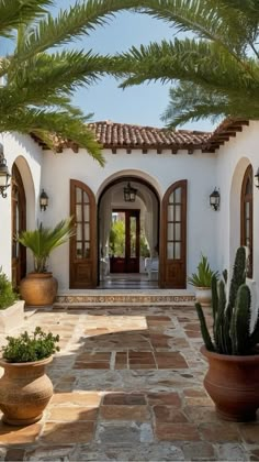 a house with two large potted plants in front of it and an entry way