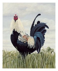 a painting of a black and white rooster standing in tall grass on a cloudy day