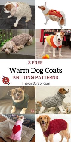 eight free warm dog coats knitting patterns with text overlay that reads 8 free warm dog coats knitting patterns