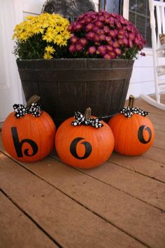 three pumpkins with numbers painted on them sitting in front of a potted plant