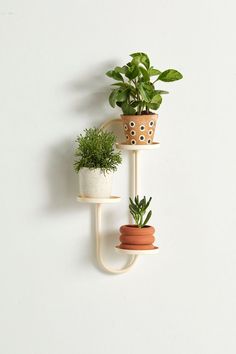 three potted plants sitting on top of two white shelves next to each other in different shapes and sizes