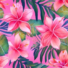 pink flowers and green leaves on a pink background