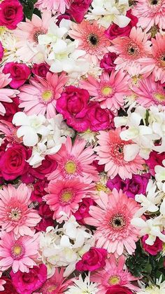 pink and white flowers are grouped together