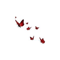 a group of red butterflies flying in the sky