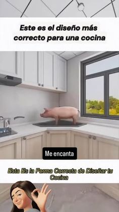 a woman is standing in the kitchen next to a pig