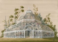 a drawing of a glass house in the middle of a field with trees around it