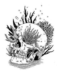 a black and white drawing of a skull with seaweeds on it's head