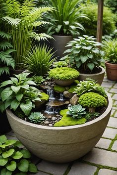 a garden filled with lots of green plants and small water fall in the middle of it