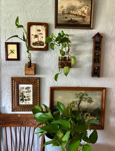 a potted plant sitting on top of a wooden chair next to pictures and paintings