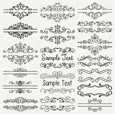 a set of decorative calligraphics with swirly lines and scrolls on white background