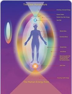 Human Aura, Human Energy Field, Energy Arts, Human Energy, Chakra Healing Meditation, Aura Reading