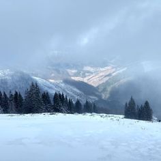 a snowy landscape with trees and mountains in the backgrounnd, on a cloudy day