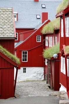 red buildings with grass growing on the roof