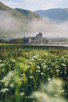 an old castle in the middle of a field with mist coming off it's roof