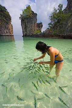 a woman is in the water with fish