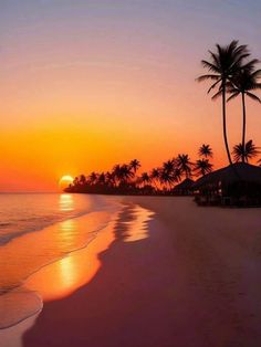 the sun is setting over the beach with palm trees