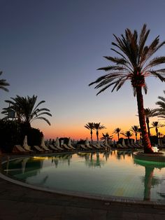 palm trees and lounge chairs line the pool at sunset