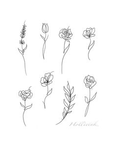 six different types of flowers drawn in black and white