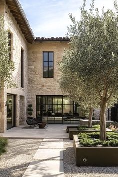 an olive tree is in the middle of a courtyard with stone walls and large windows