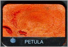 an orange colored tv with the word petula on it