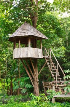 a tree house in the woods with stairs leading up to it