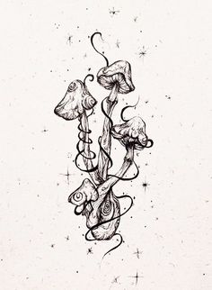 an ink drawing of mushrooms and vines