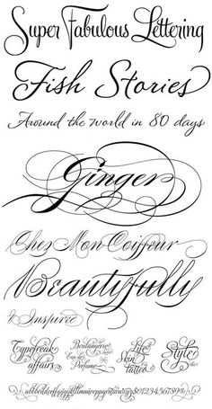 some type of calligraphy that is in different styles and font types, with the words super