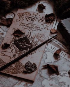 an old harry potter book and some other items on a table with leaves around it